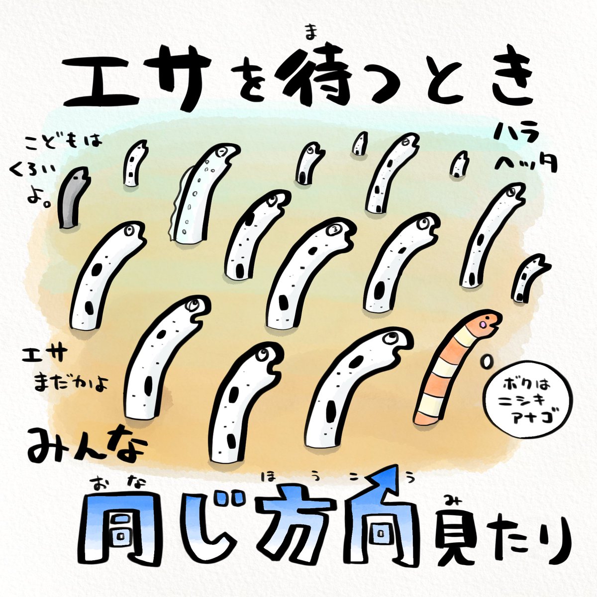 なぜ同じ方向を見てるかというと
水流の上から流れてくるアレを待ってるから #チンアナゴの日 