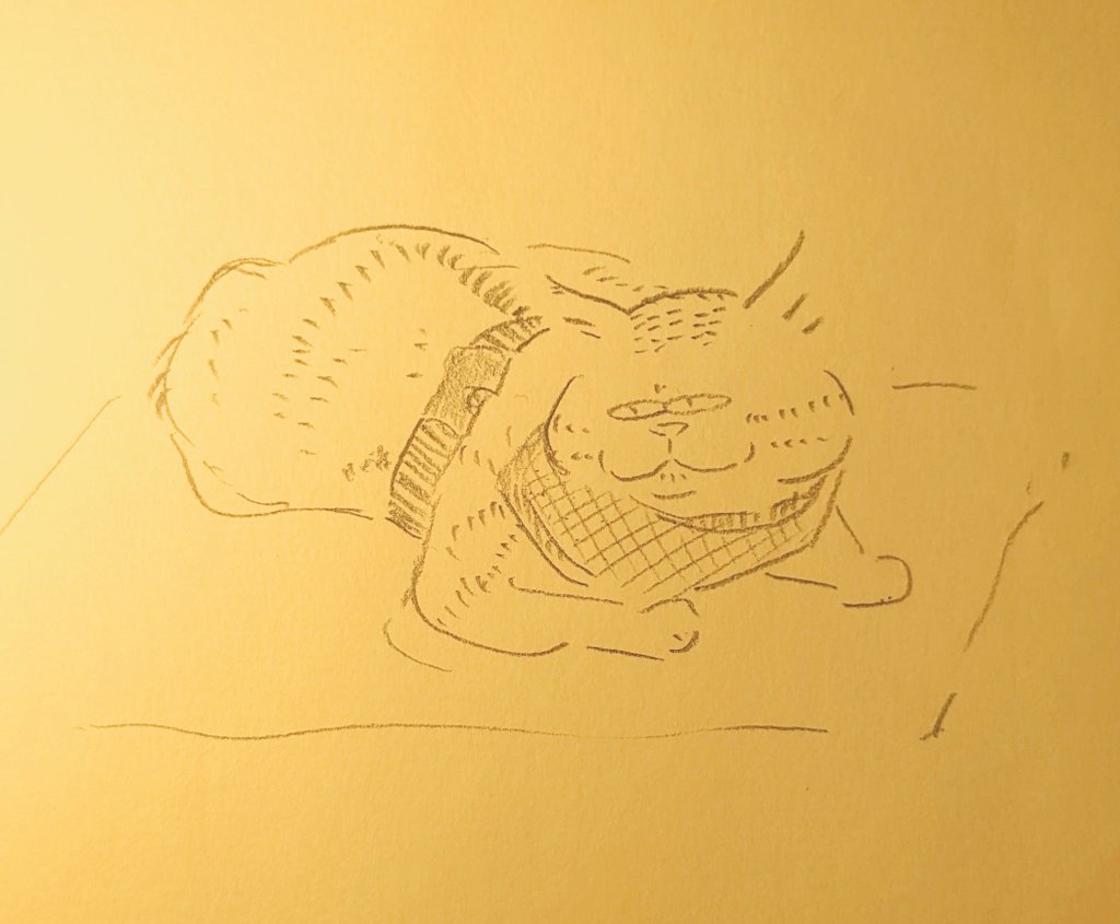 100grd's tweet image. ハーネスの練習