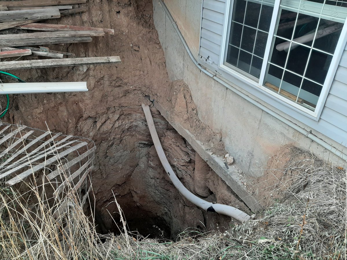 Jesse Korus tweet media