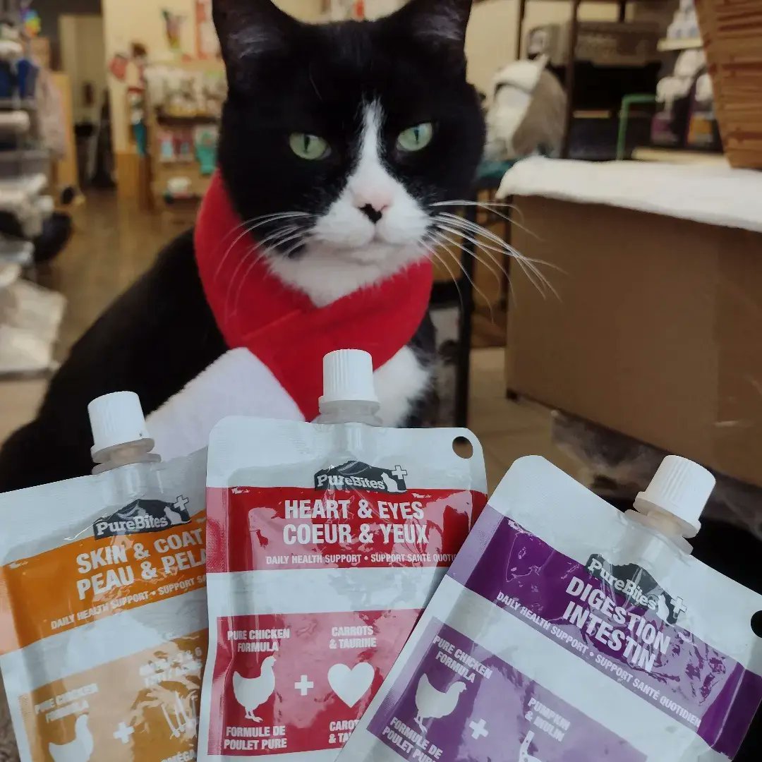 OneSpoiledKitty's tweet image. Purebites creamy treats &amp;amp; toppers for cats in Winnipeg at One Spoiled Kitty, 1325 Portage Ave #Winnipeg #catstore #onespoiledkitty