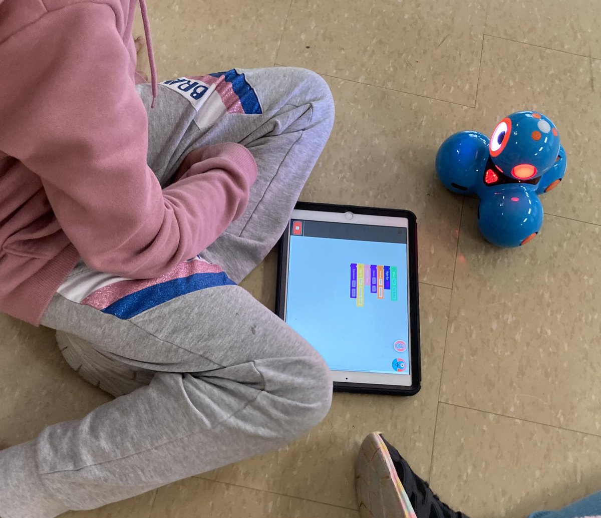 Happiness is a Learning Commons full of creativity <a href="/MountRoyalPS/">Mount Royal P.S.</a>