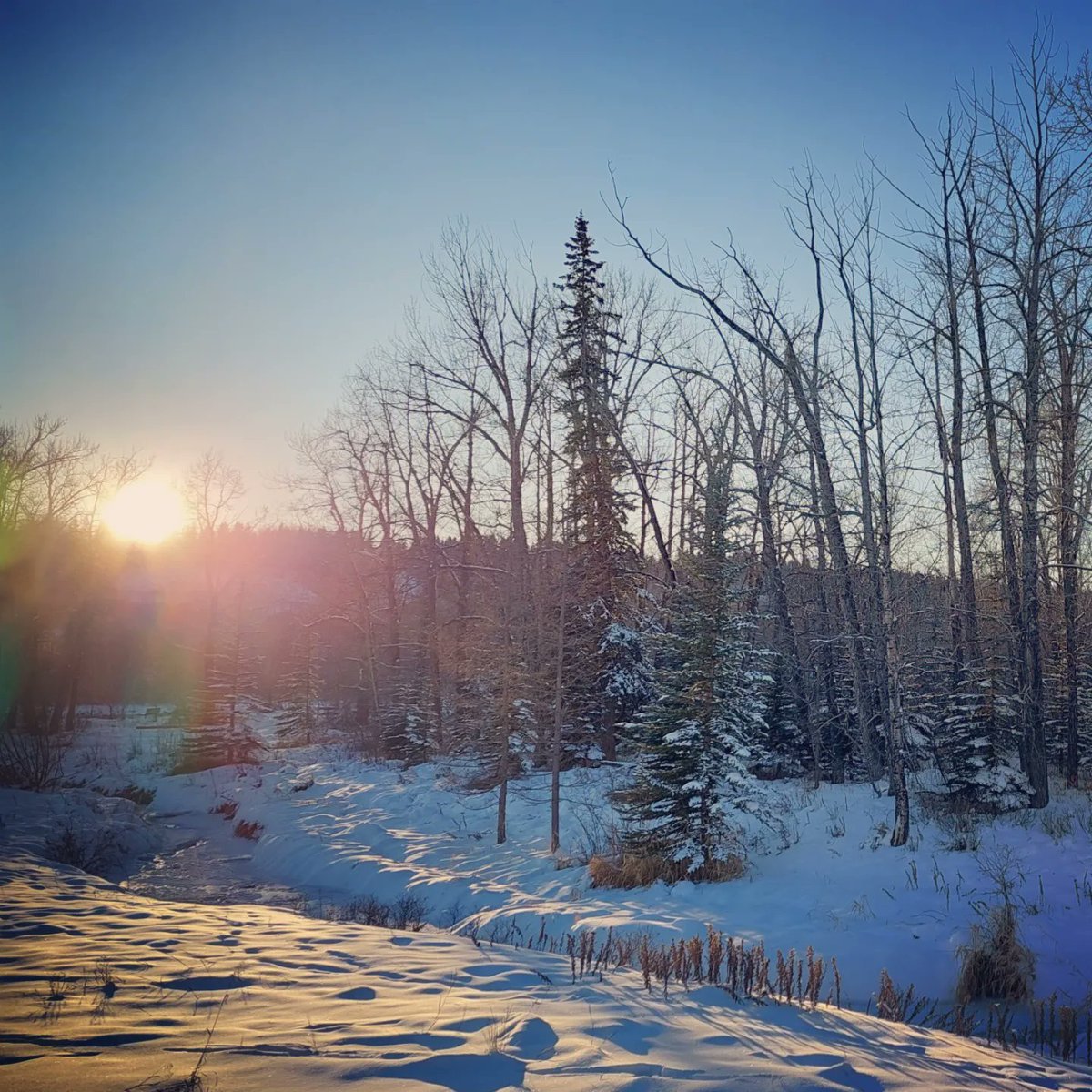 sitskishona's tweet photo. Can't get enough of these snowy, blue sky views. The stream is now almost totally frozen over, probably something to do with the -24⁰C temperatures 🥶 At what point do shorts become inappropriate attire? (Asking for a friend) 😂
#sitskishonaontour https://t.co/6W20YwlC8i