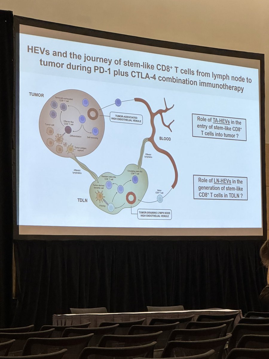 BernardAFox's tweet photo. 7) Profs. @sautesfridm & Hadyn Kissick chair a Fantastic session on tertiary #lymphoid #Structures #TLS /PhD student @LucasBlch #CD62P #CD62L #SITC2022 #SITC22 B Cell Zone/ #Mab #FinishCancer #IL21 #CXCL13 #MECA79 #stem_Like #HEV https://t.co/VT9vnhIf8R