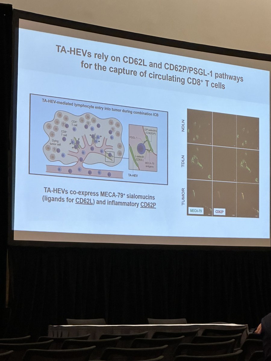 BernardAFox's tweet photo. 7) Profs. @sautesfridm & Hadyn Kissick chair a Fantastic session on tertiary #lymphoid #Structures #TLS /PhD student @LucasBlch #CD62P #CD62L #SITC2022 #SITC22 B Cell Zone/ #Mab #FinishCancer #IL21 #CXCL13 #MECA79 #stem_Like #HEV https://t.co/VT9vnhIf8R