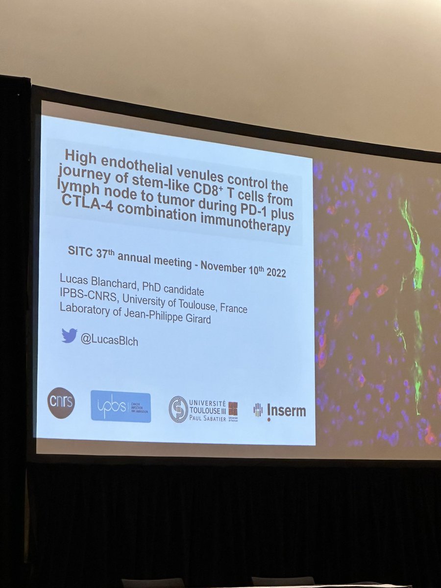 BernardAFox's tweet photo. 6) Profs. @sautesfridm & Hadyn Kissick chair a Fantastic session on tertiary #lymphoid #Structures #TLS /PhD student @LucasBlch #CD62P #CD62L #SITC2022 #SITC22 B Cell Zone/ #Mab #FinishCancer #IL21 #CXCL13 #MECA79 #stem_Like #HEV https://t.co/VHPmSsAqH0