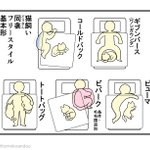 猫飼いは共感すること間違いなし!猫と織りなすピクトグラム。