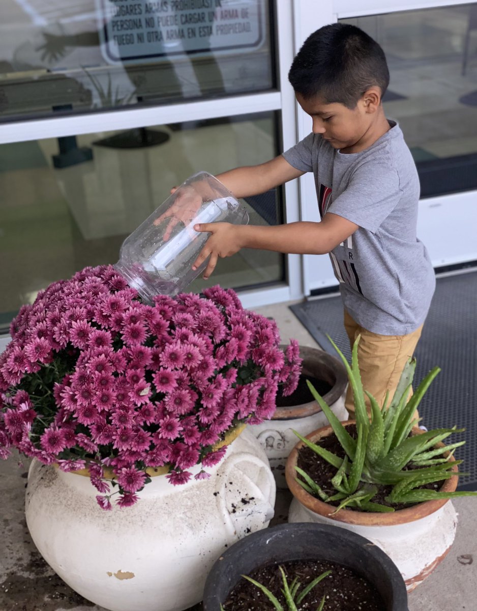 FloydElem's tweet photo. The Floyd Garden Club has been working hard to revamp the front door plants we lost in the freeze of 2021!  Thank you, Ms. Vestal, for bringing us more plants! #floydfam #believeinmesquite #misdscience https://t.co/zdtepFF6Z9