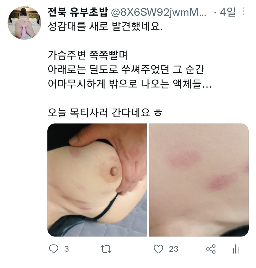 영구 정지의 아픔을 딛고

새롭게 시작하는 마음으로. 흑