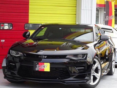 تويتر マッスルカー بحث تويتر