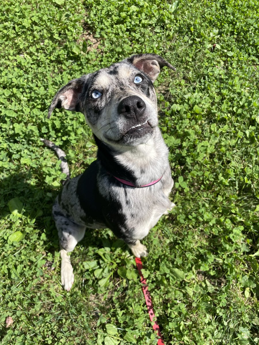 Dan Smith tweet media