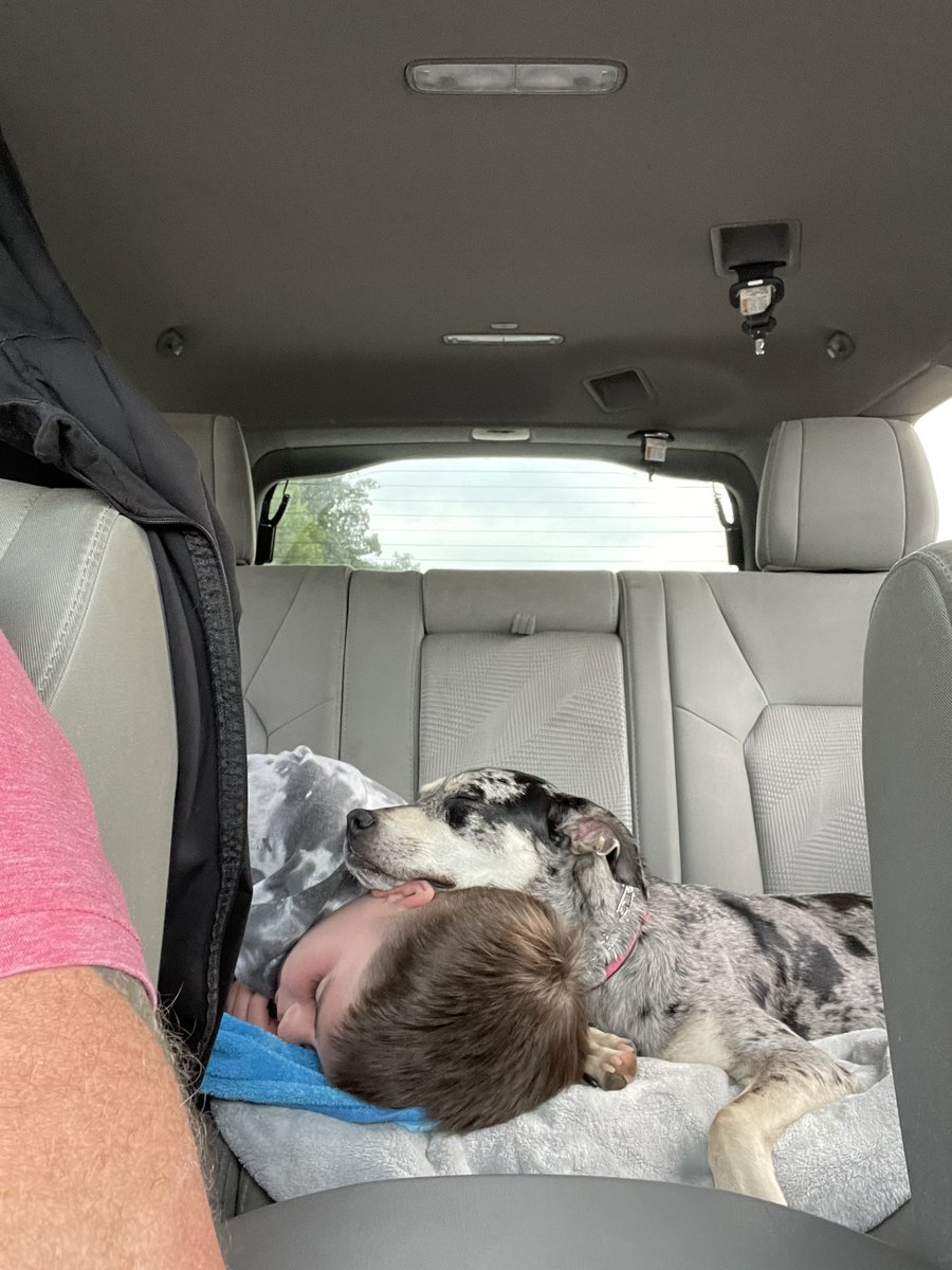 Dan Smith tweet media