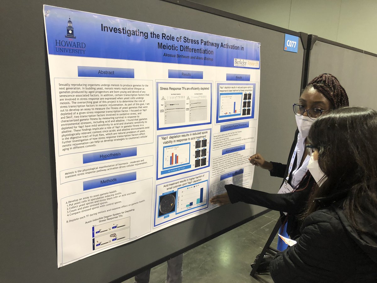 Congrats to our Inclusive Excellence summer research student Akosua on their poster from their summer research project at ABRCMS today. #DiversifyThePhD