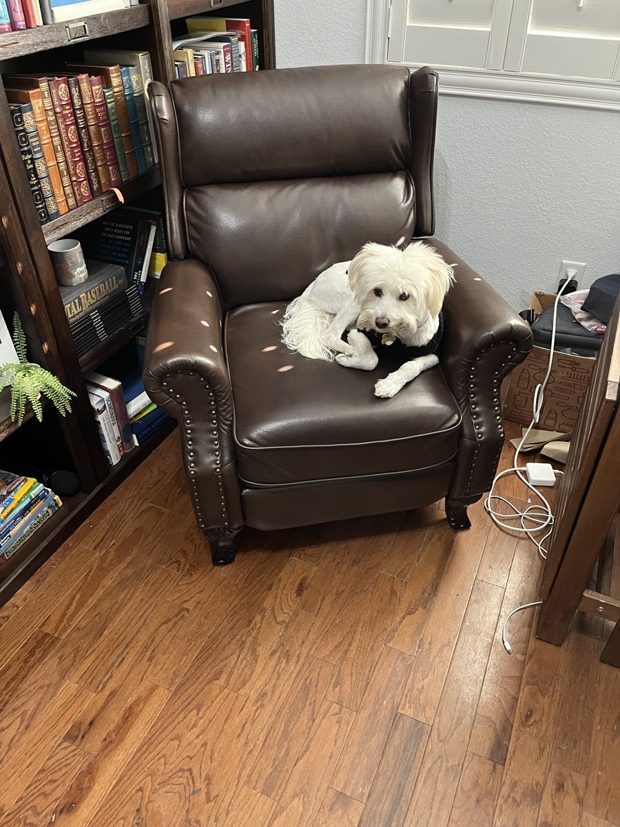 Jon Ralston tweet media