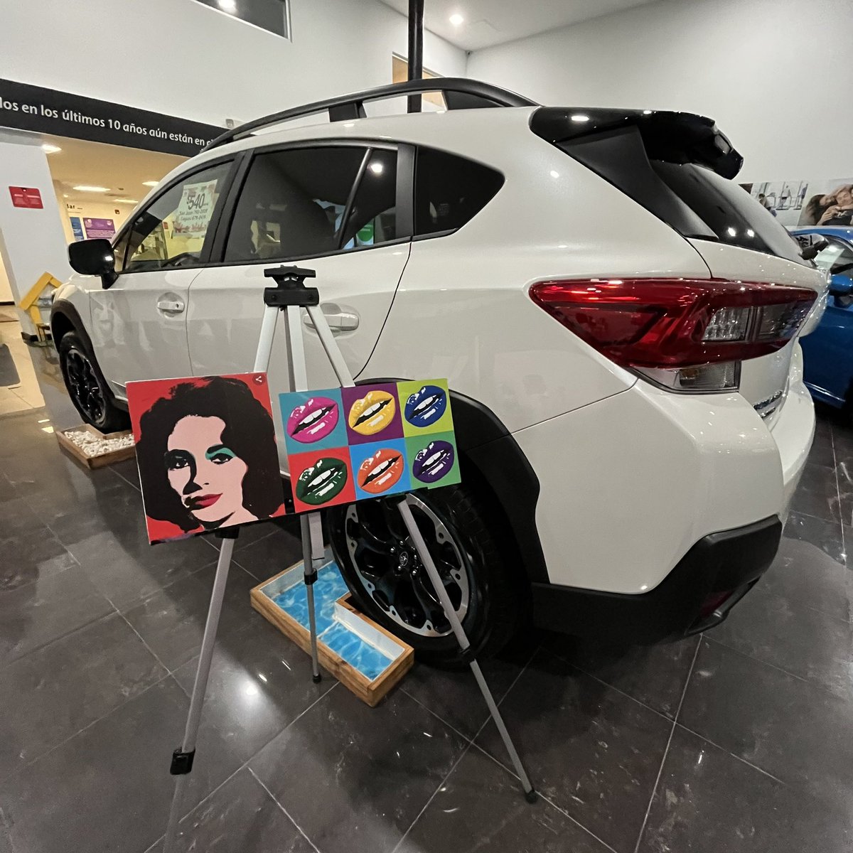 SubaruPRico's tweet photo. ¡Todo un éxito! Pintando con Artistas de la APAP 🎨👩🏻🎨🖼️🍷🍾🥂🇵🇷
Agradecemos la participación del público presente.
#SUBARU #Crosstrek #PuertoRico #LoveSUBARU #believe #art #pop #paint https://t.co/w2VhtBOLOw