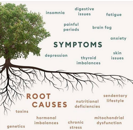 OrganicLiveFood's tweet photo. Symptoms are not enemies to be destroyed, but sacred messengers who encourage us to take better care of ourselves   👇 https://t.co/4Hbx48PckB