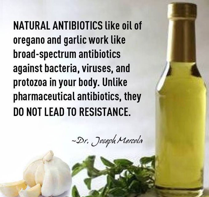 Organic Live Food on Twitter "Oregano oil is a great antioxidant, anti