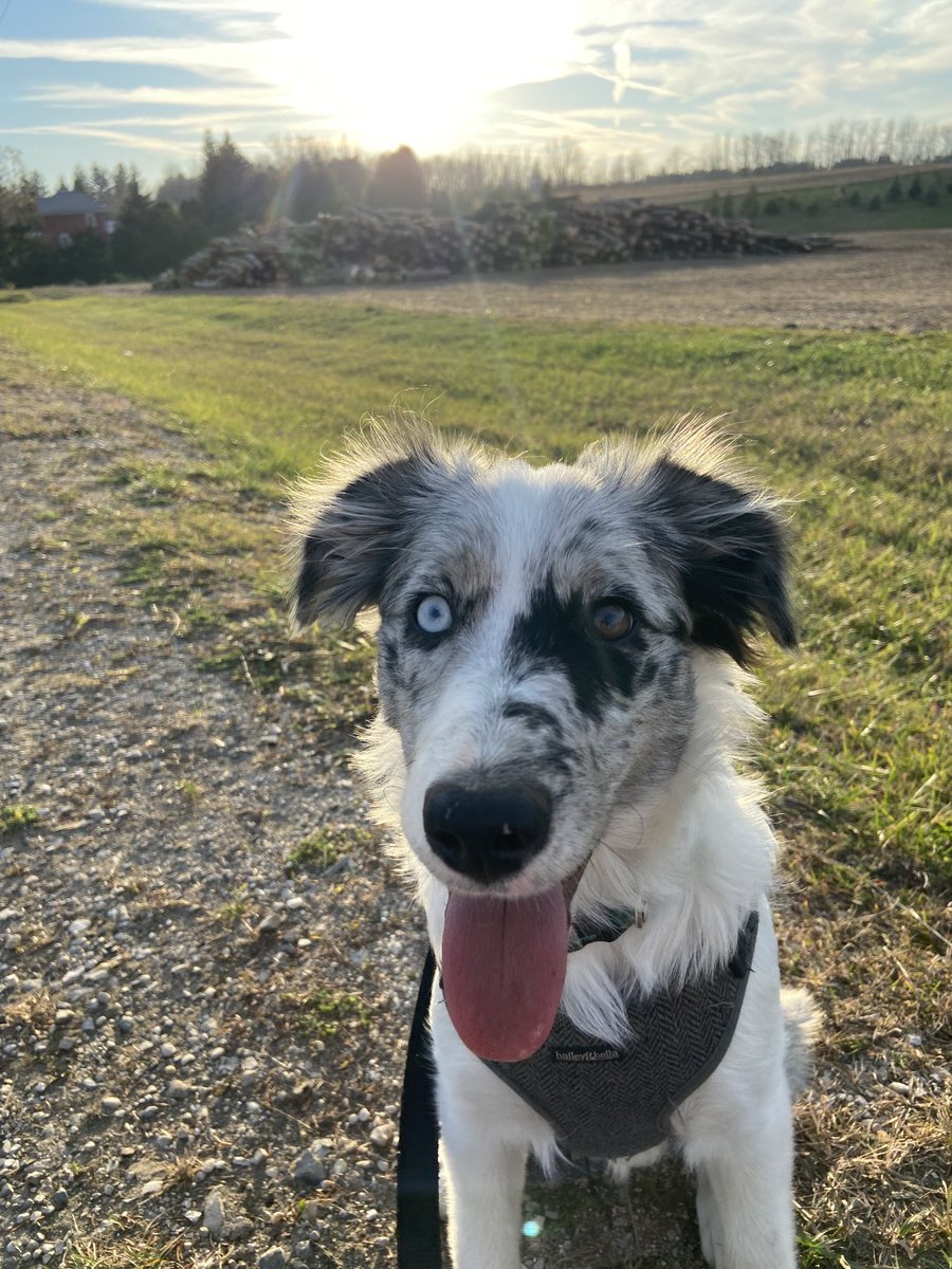 November 10th? Lilly doesn’t think so!