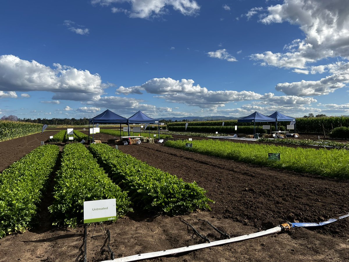 Brandy Rawnsley tweet media