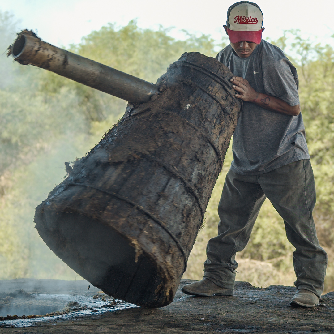 Salvador Peribán tweet media