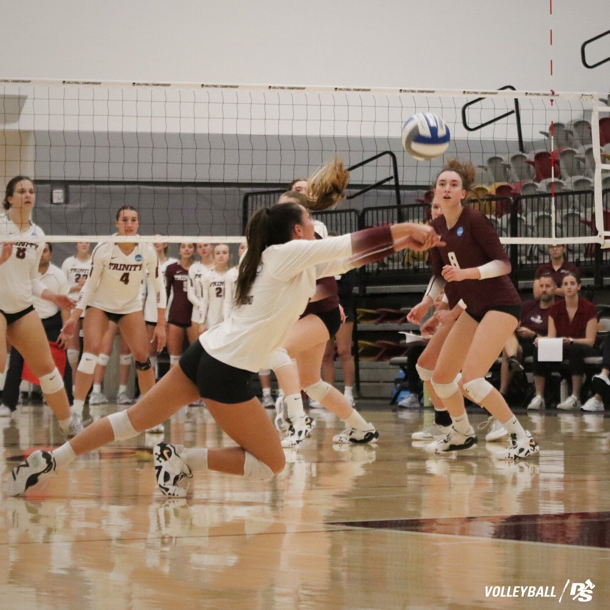 Puget Sound Loggers tweet media