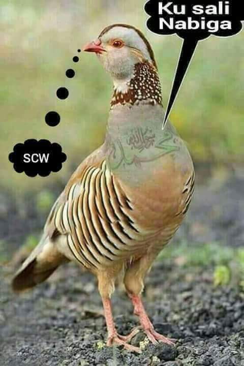 Armaan Yare (@armaany01456528) on Twitter photo 