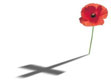broadierevs's tweet photo. They shall grow not old, as we that are left grow old;
Age shall not weary them, nor the years condemn.
At the going down of the sun and in the morning
We will remember them.
#LestWeForget #remembranceday2022 https://t.co/FTHrUhWa1W