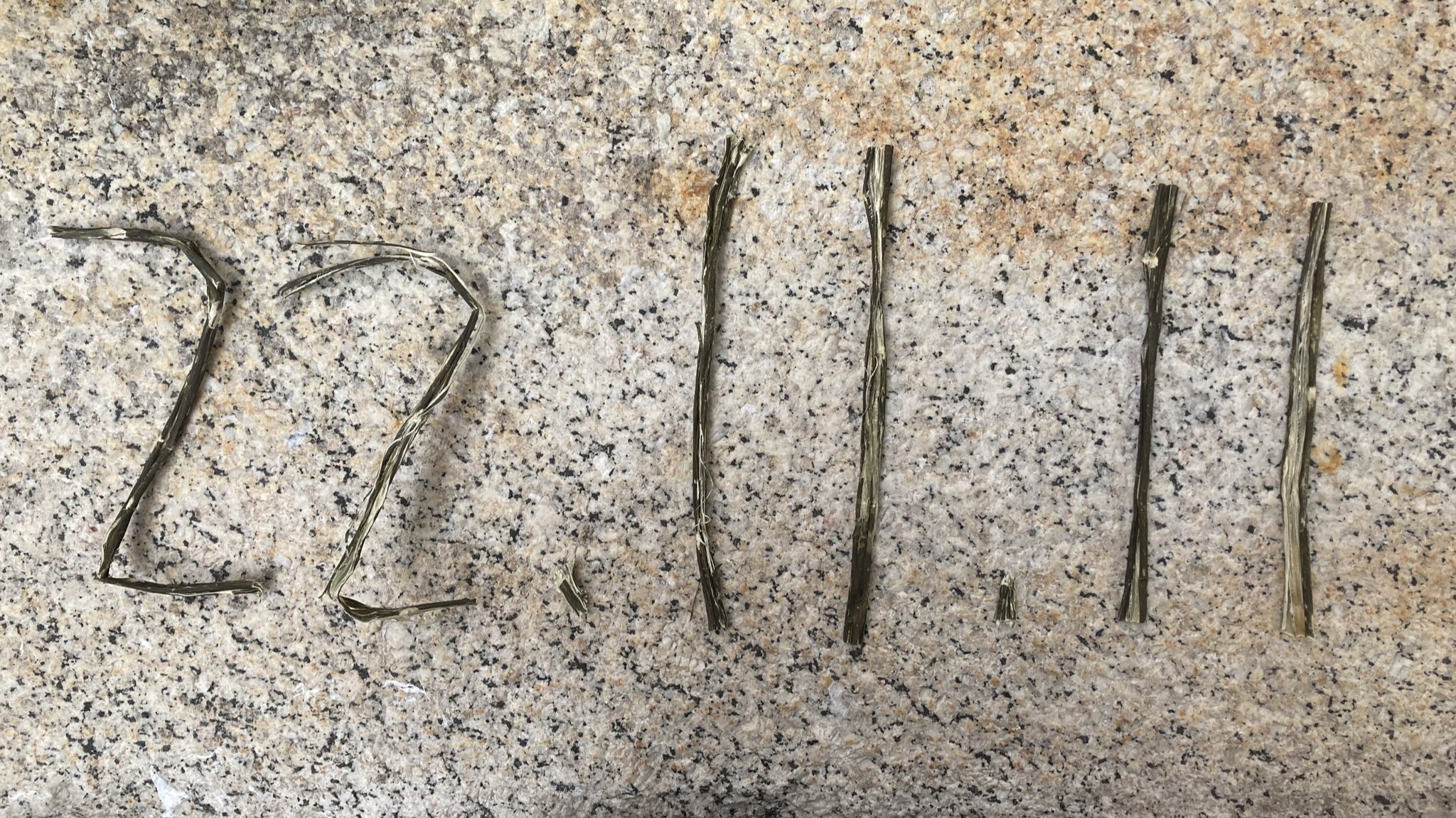 伊勢和紙 IseWashi the Japanese Paper Mill on Twitter "今日は11月11日。和紙原料のコウゾ