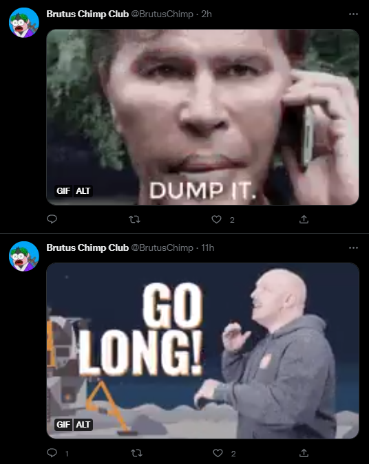 Brutus Chimp Club tweet media