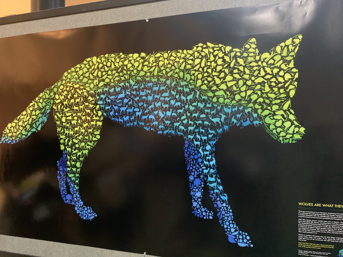 RolandKays's tweet photo. This diet study from @VoyaWolfProject has to be one of the best poster presentations ever. Number of animal icons shows proportional diet. Also includes links to see related media of wolves eating on your phone. #tws2012 #scicom #workofart #steam https://t.co/zxta5wrvlQ