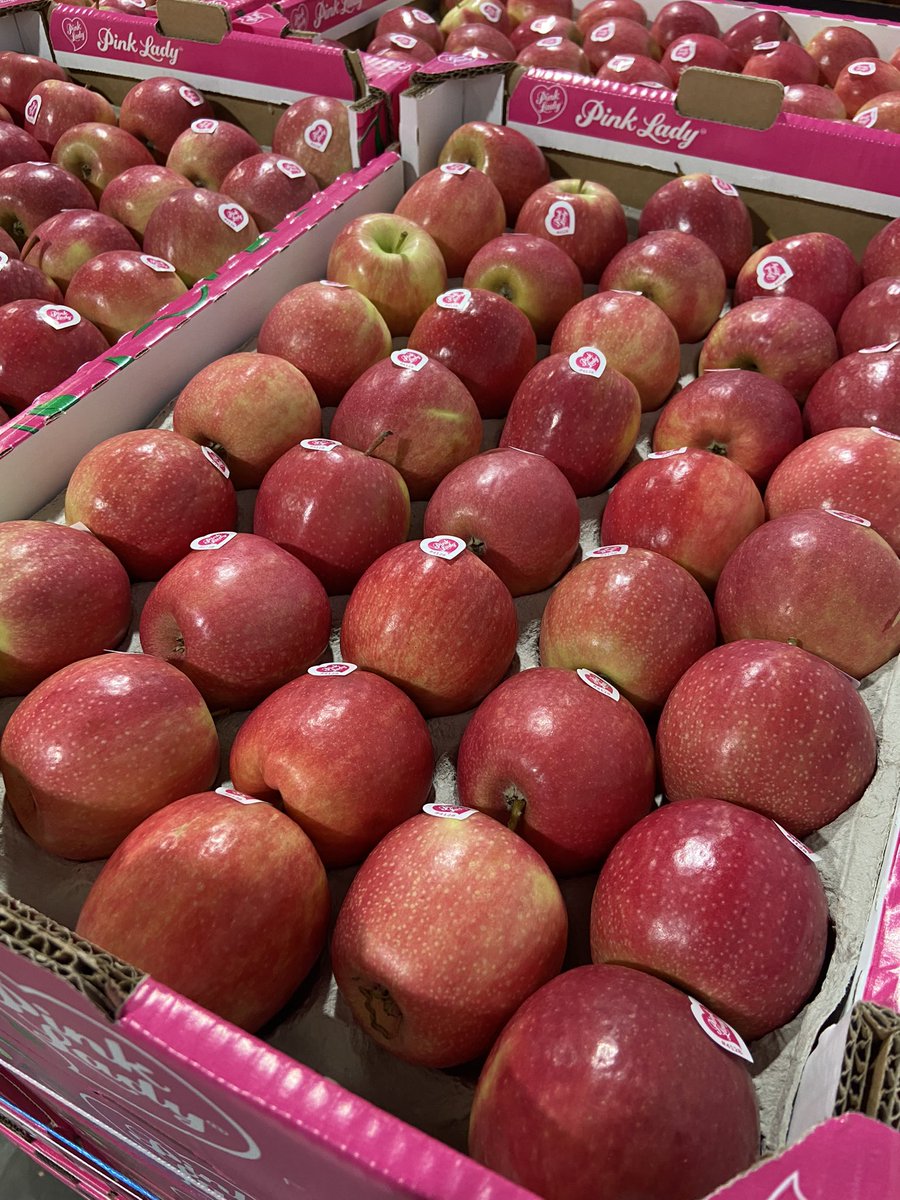 TGFruits's tweet photo. It’s here! New season #pinkladyapple @bobbybluewhale1 crunchy,sweet, high colour. @TGFruits bringing you the best! https://t.co/aktxO6BRej