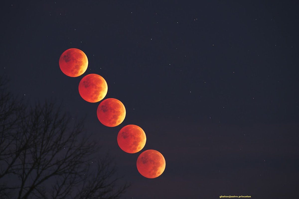 We love these photos — to the moon and back! 🤩

Thanks to #PrincetonU professor Gáspár Bakos for capturing these illuminating pics from a recent lunar eclipse. 📸