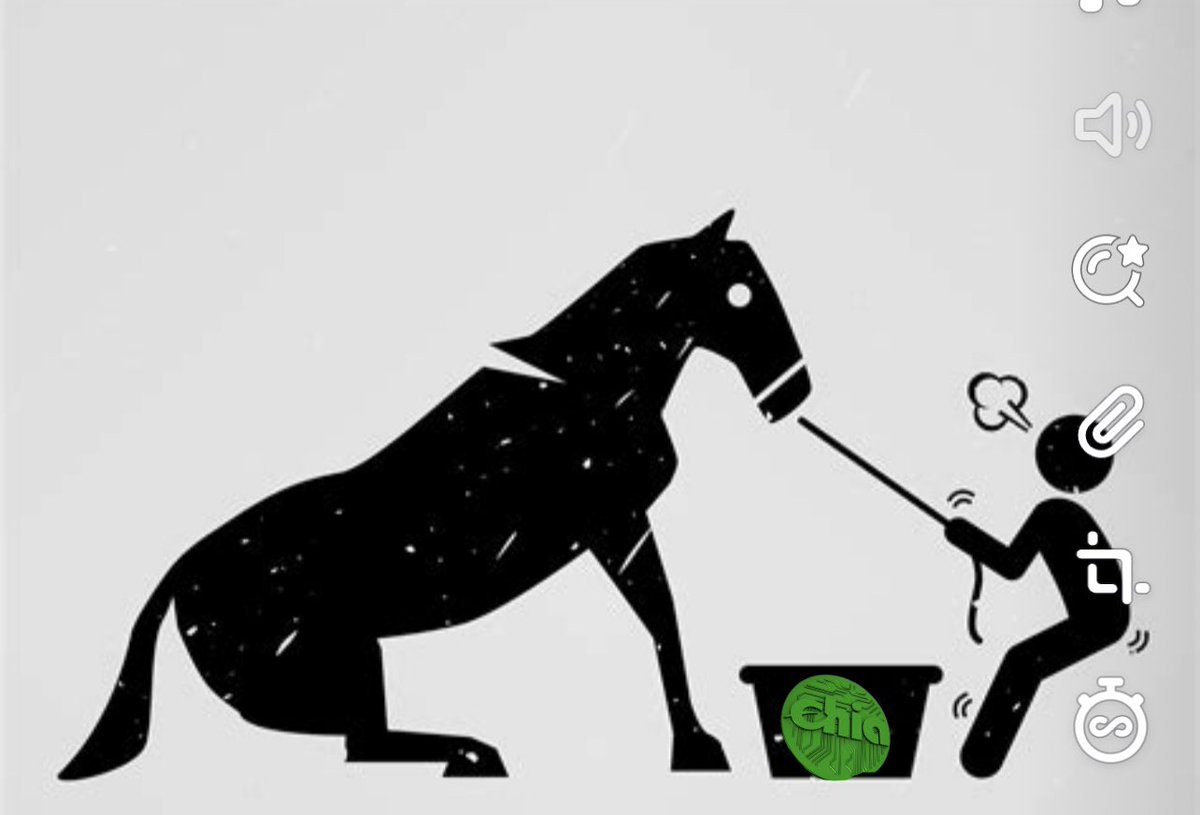 <a href="/XCHcentral_jm/">jm</a> <a href="/Zomb_Studio/">ZOMB 🌱</a> <a href="/chia_project/">Chia Network</a>