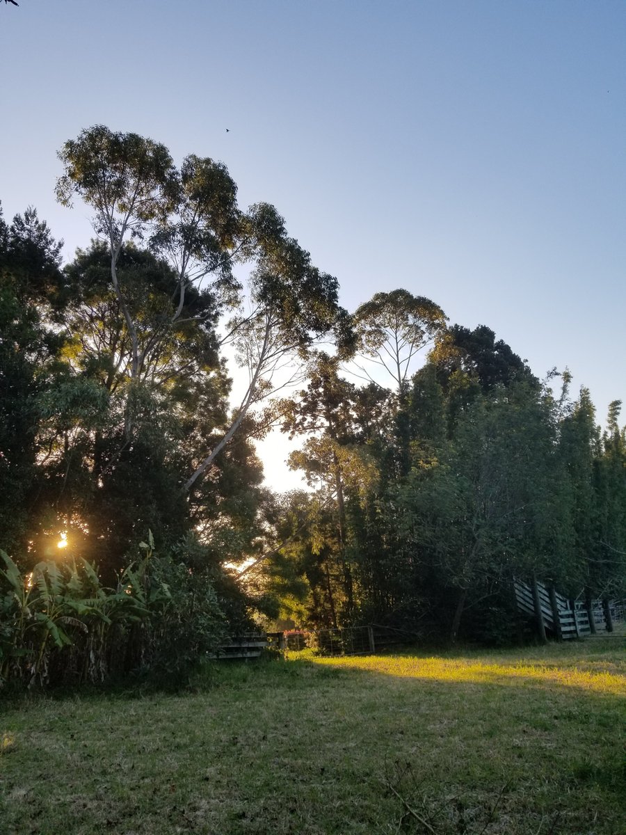 It's the quieter moments that the love shines through. Wishing you a sunset that fills your heart this week.