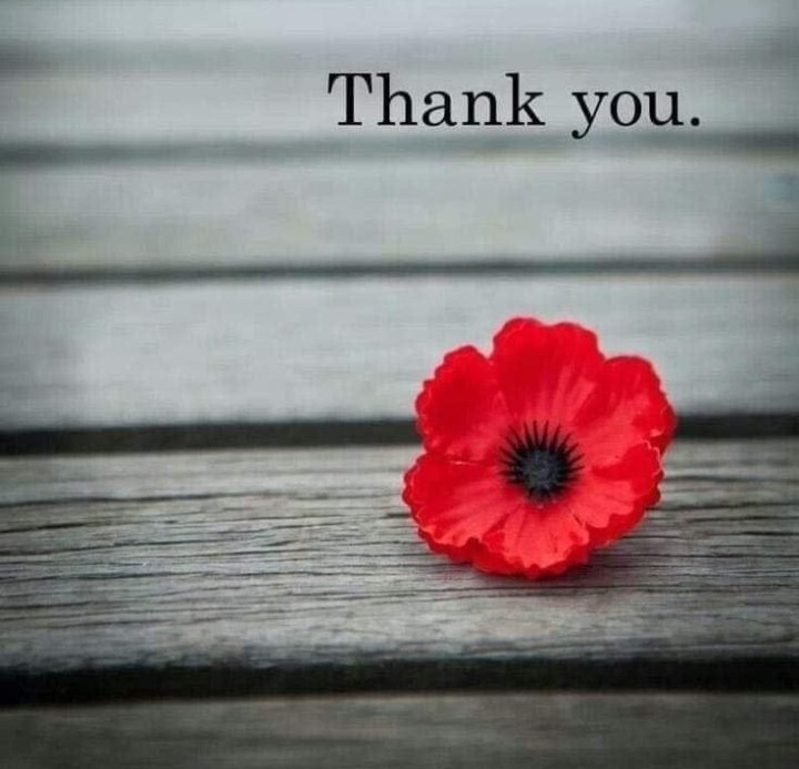 weepaulene's tweet photo. TO LIVE IN HEARTS 
IS NOT TO DIE...

TO REMEMBER IS
TO LIVE FOREVER...
#WeShallRememberThem
#LestWeForget❤️
#TodayAndAlways🇬🇧 https://t.co/37UHeIDWX5