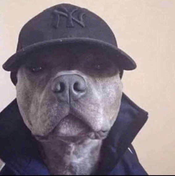 AlarmedZac tweet media