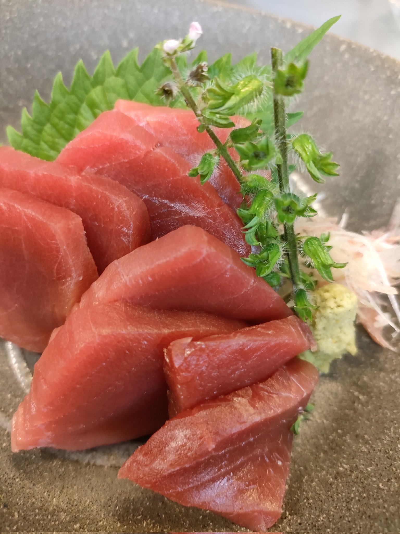 大間産 生本マグロ 背中