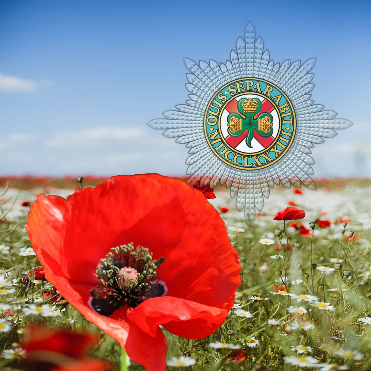 “They shall grow not old, as we that are left grow old: Age shall not weary them, nor the years condemn. At the going down of the sun and in the morning We will remember them.” Remembering all those who have served today. Quis Separabit ☘️ Photo - Crown Copyright