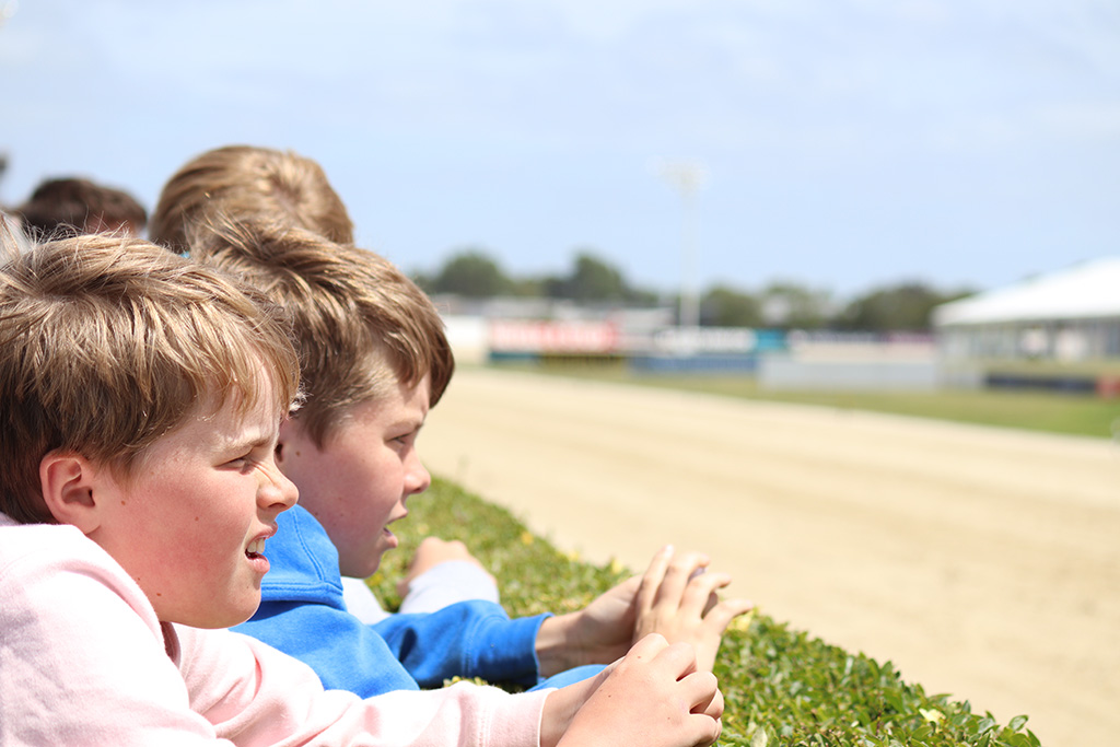 AddingtonNZ's tweet photo. Great Day for Racing - the sun is out and we still have 6 races to go! Grab the family and come on down. #AddingtonRaceway #AddingtonCupWeek https://t.co/KLPd1d4K9k