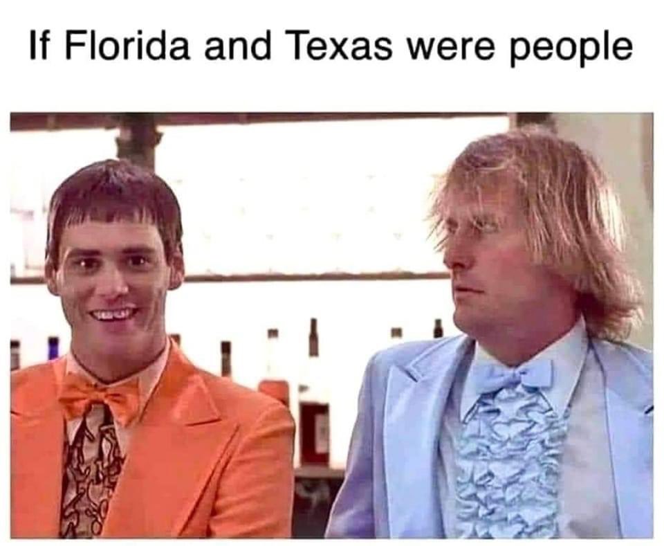 Patricia Yamane tweet media