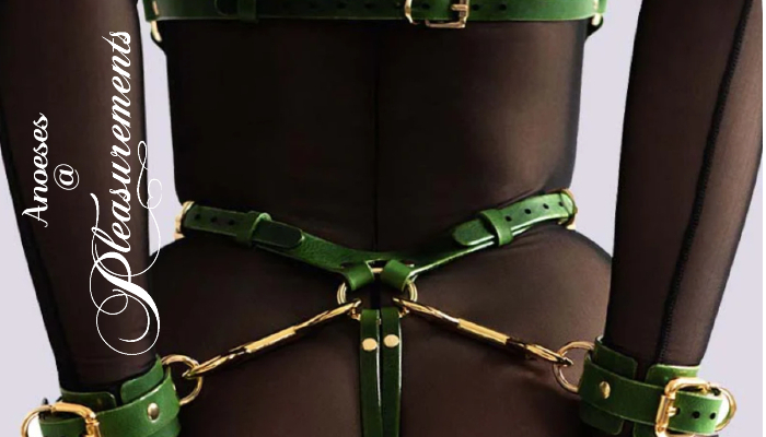 MORE LEATHER EROTIC LINGERIE AT PLEASUREMENTS dlvr.it/ScZsF8