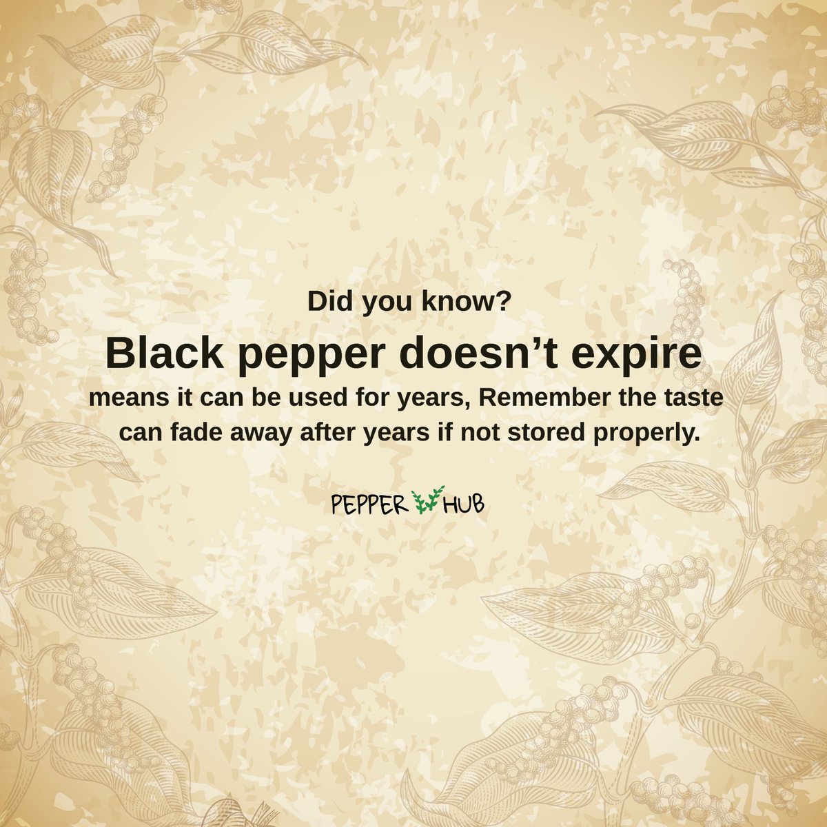 hubpepper's tweet photo. Black pepper is best stored in a tightly sealed glass container in a dark, dry and cool place.
Whole peppercorns will last a lifetime, but ground pepper will only keep for around three months. If you want a more pronounced pepper flavor, try freezing it!
#pepperhub #blackpepper https://t.co/alFP0mwb55