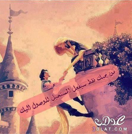 بسمة أمل (@anasbnysd) on Twitter photo 