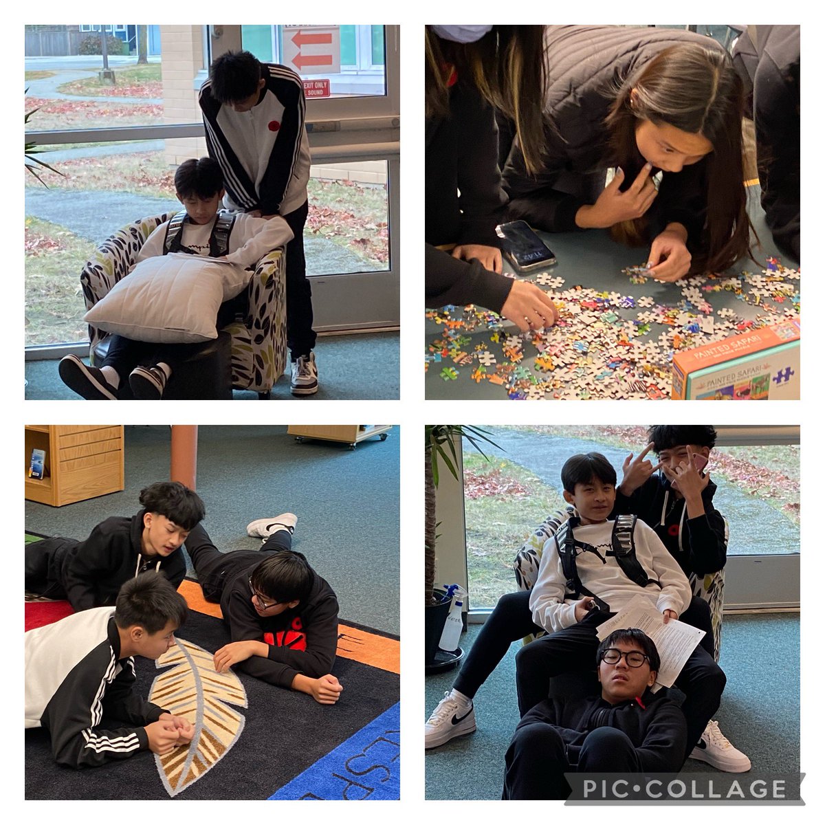 JN Burnett Library tweet media