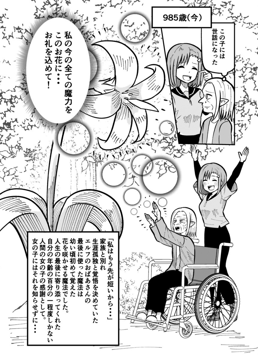 エルフが咲かせた最初の花、最期の花。
#異種族ケアハウスソヨカゼ 