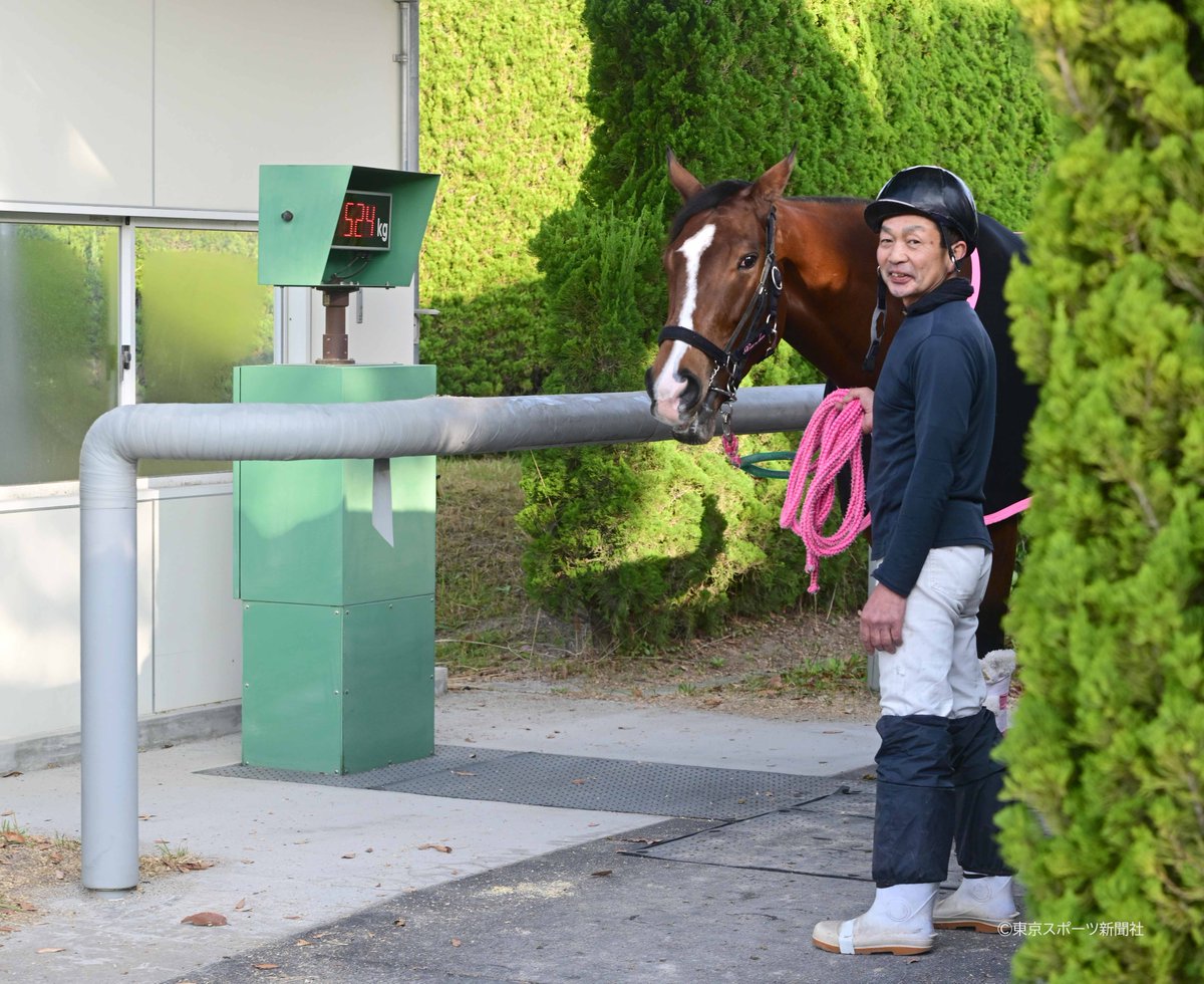 競馬】2022年11月10日 ＃レシステンシア ＃体重計 ＃香港