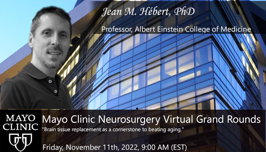 Please join us this Friday at 9 AM EST for another exciting Mayo Clinic Neurosurgery and Neuroscience Virtual Grand Rounds featuring Dr. Jean M. Hébert: “Brain tissue replacement as a cornerstone to beating aging”. To attend please register at mclive.zoom.us/webinar/regist…