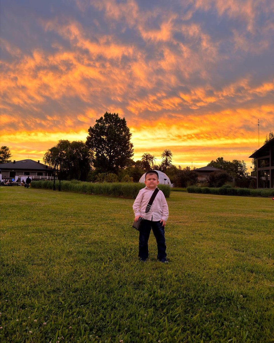 Hasbulla's tweet photo. Golden hour vibes🌅 https://t.co/mTEiluiV3M
