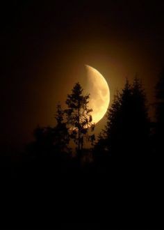 Tommy Robert Lancaster (@tommyro53920973) on Twitter photo 