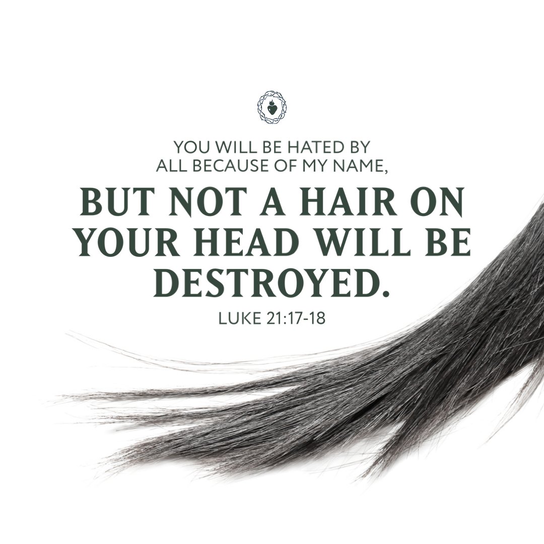 Even all the hairs of your head are counted.