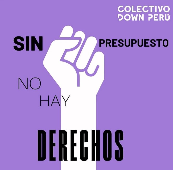 21Colectivo's tweet photo. La Supresión del 1% en el presupuesto 2023 de gob locales y regionales para atención de necesidades de las PCD significa socavar sus derechos, perpetuar su exclusión así como desconocer el compromiso peruano ante organismos internacionales
@mimpconadis
@DiscapacidadY
#PCD #SDown https://t.co/natL35kR0p